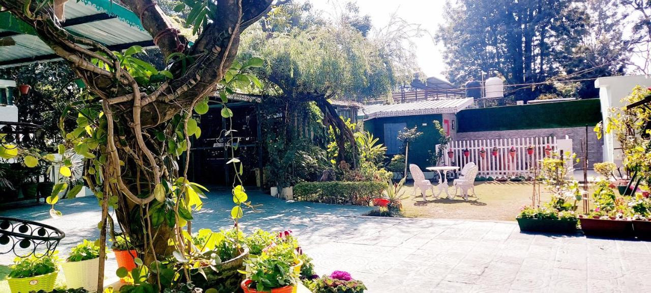 Olive Greens Homestay دهرادون المظهر الخارجي الصورة