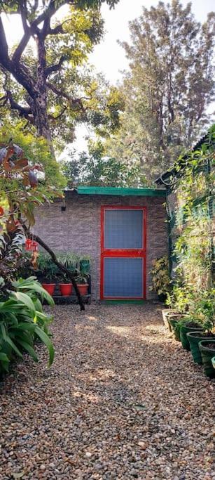 Olive Greens Homestay دهرادون المظهر الخارجي الصورة